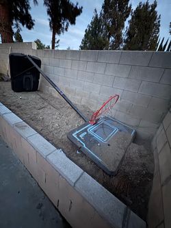 Free basketball court