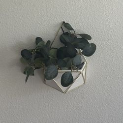 Geometric Wall Planters (set of 2) 