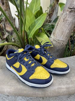 Nike SB MICHIGAN Dunks