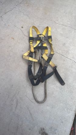 Harness