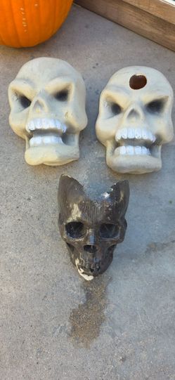 Halloween skulls