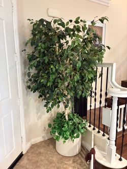 Artificial Ficus Tree with approx 17” Round Planter