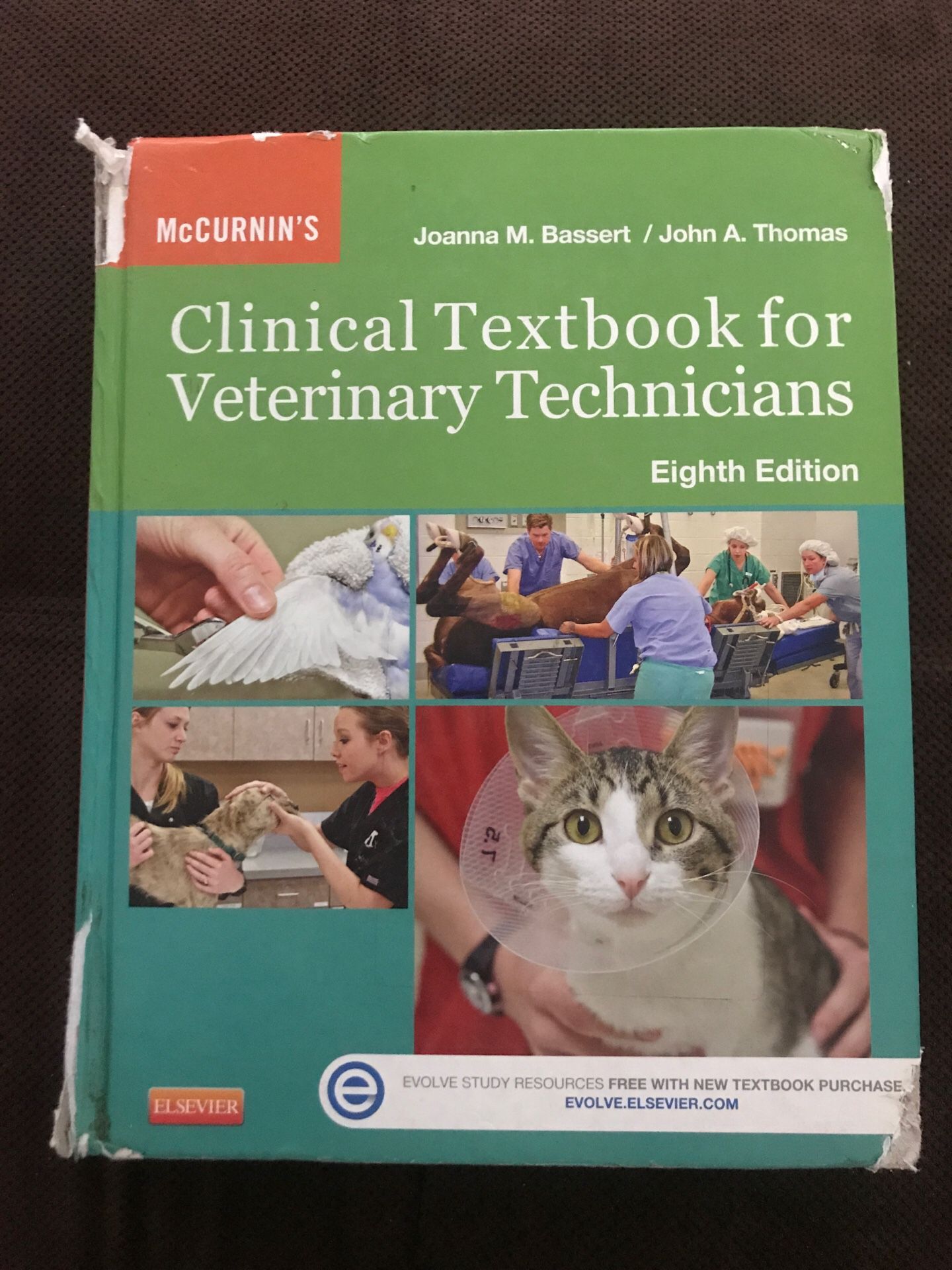 Clinical textbooks for veterinary technicians