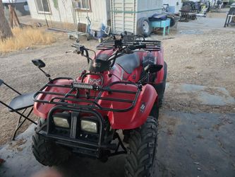 Kawasaki 300 prairie