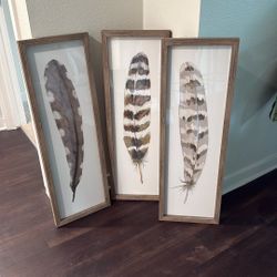 3 Piece Feather frame Set 