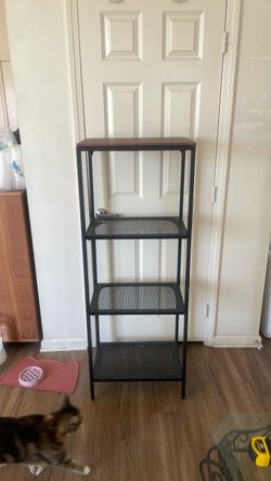 4 shelf book shelf