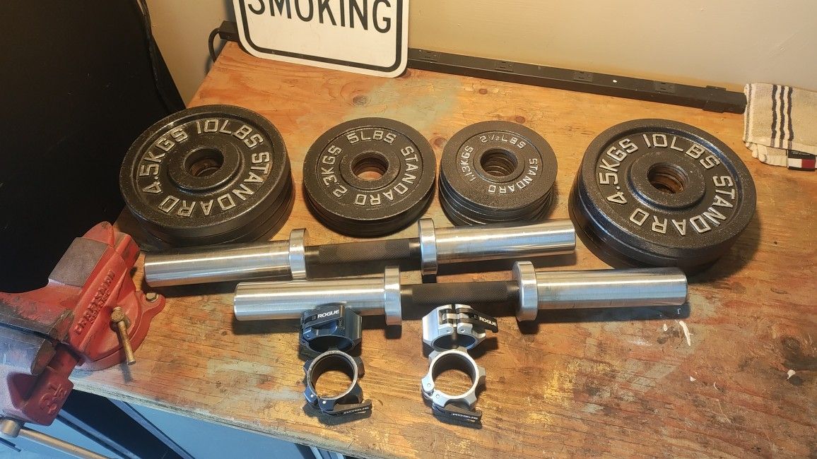 Fringe Loadable Dumbbells Handles Rogue Clamps 120lbs Disc Weights Olympic