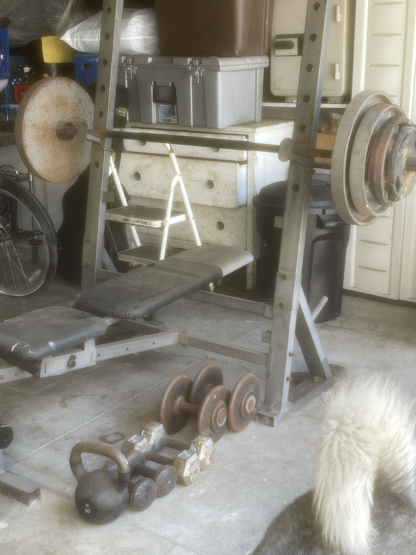 Weights 