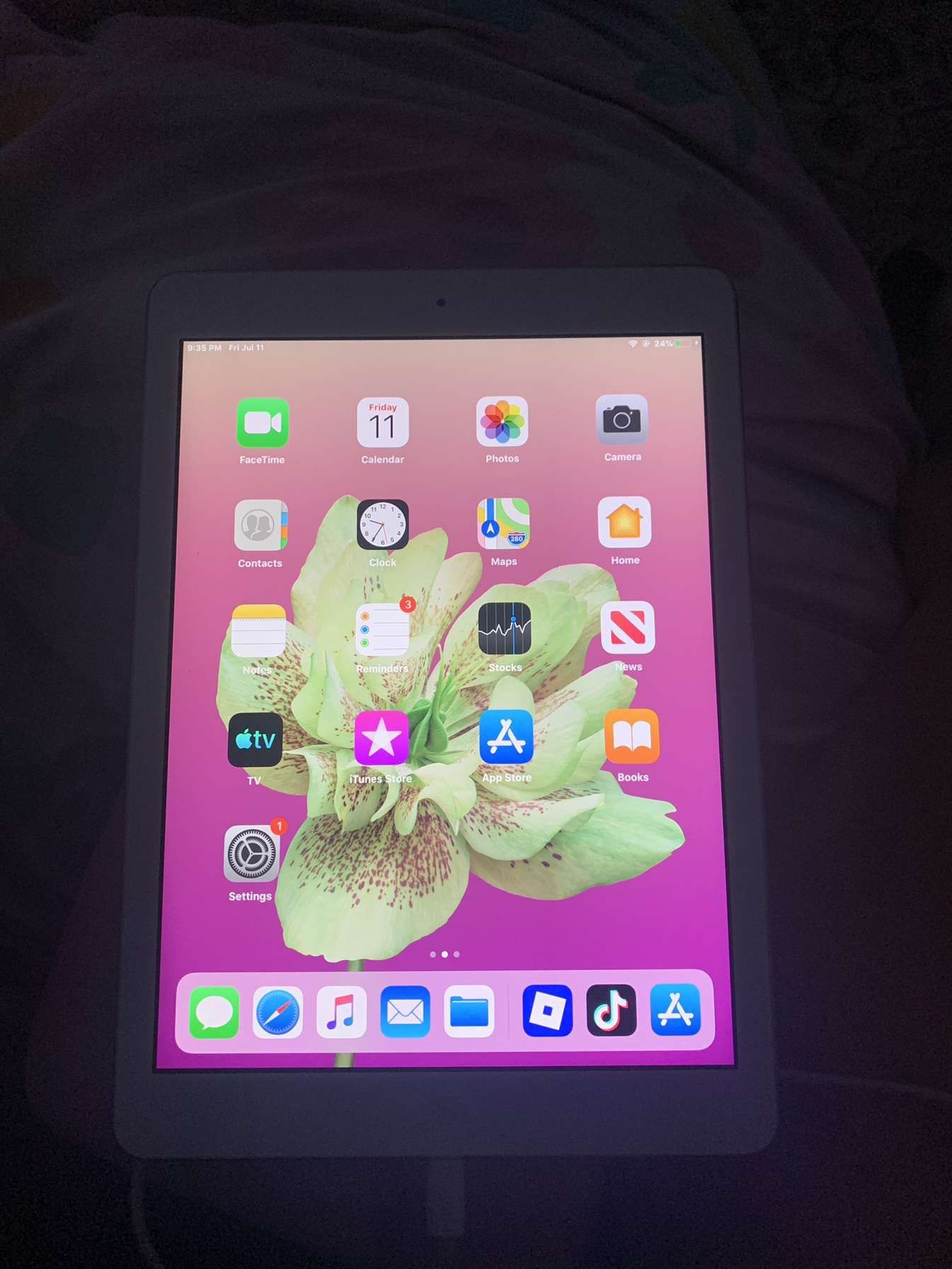 iPad