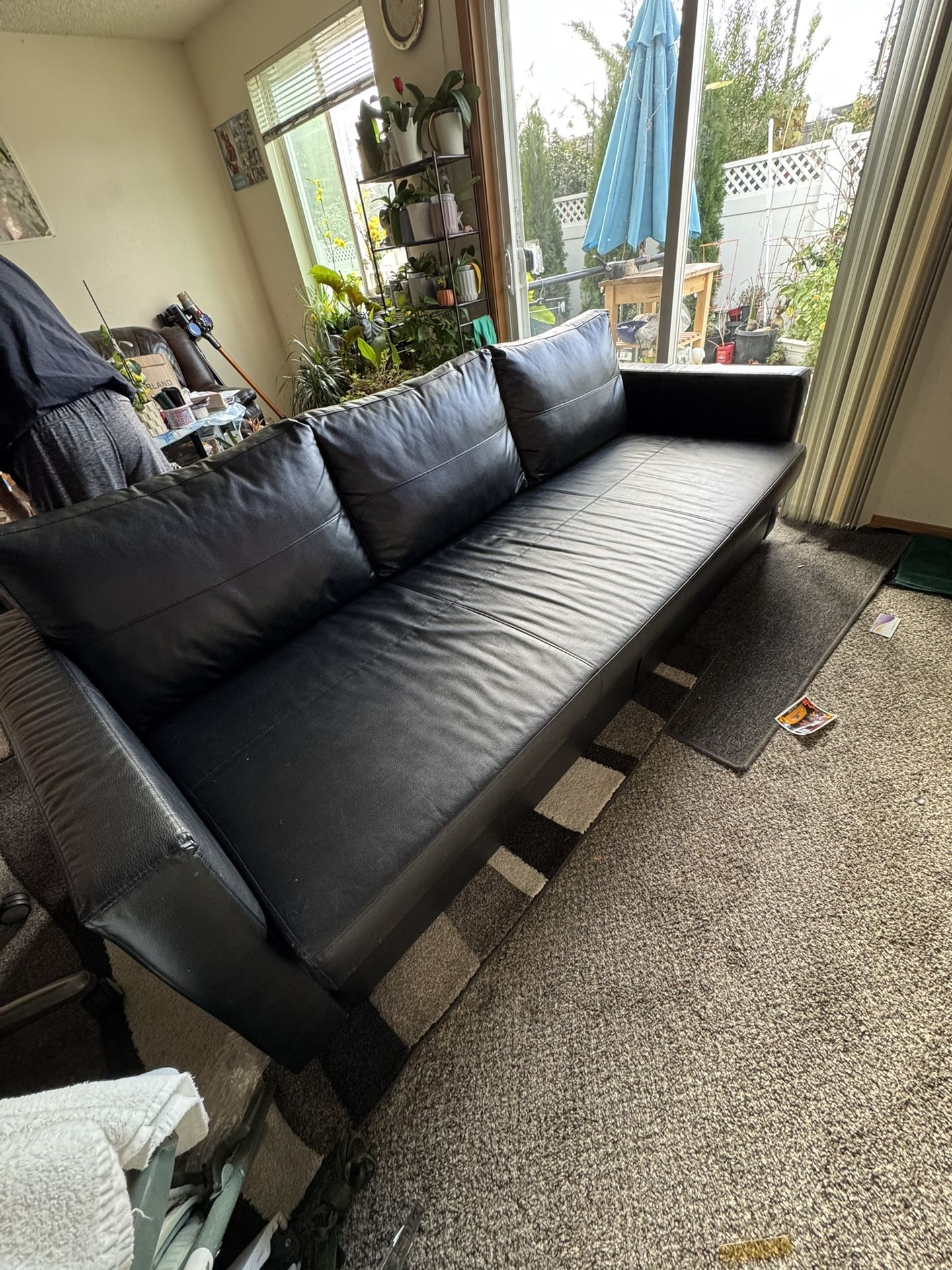 Couch Sofa Futon