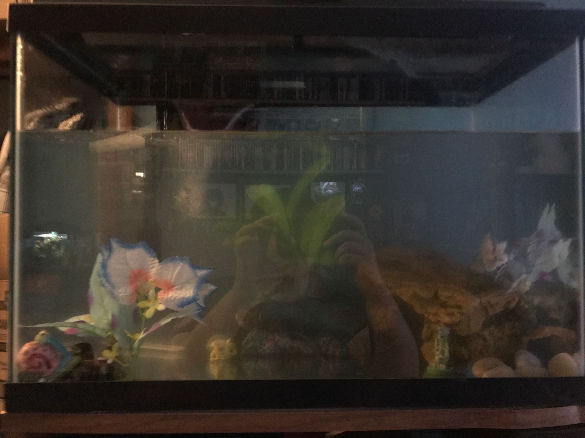 30 gallon tank with extras