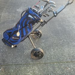 Hippo Golf Cart With 11 Clubs