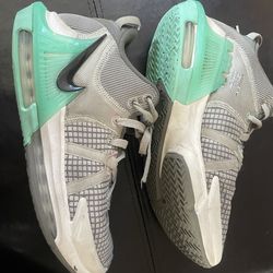 Nike LeBron Witness 7 Gray Basketball Shoes