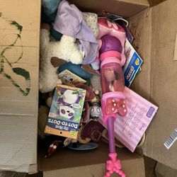 Toddler Girl Toy Box