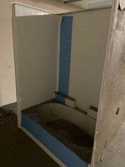 Tub shower