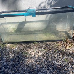 Reptile Tank