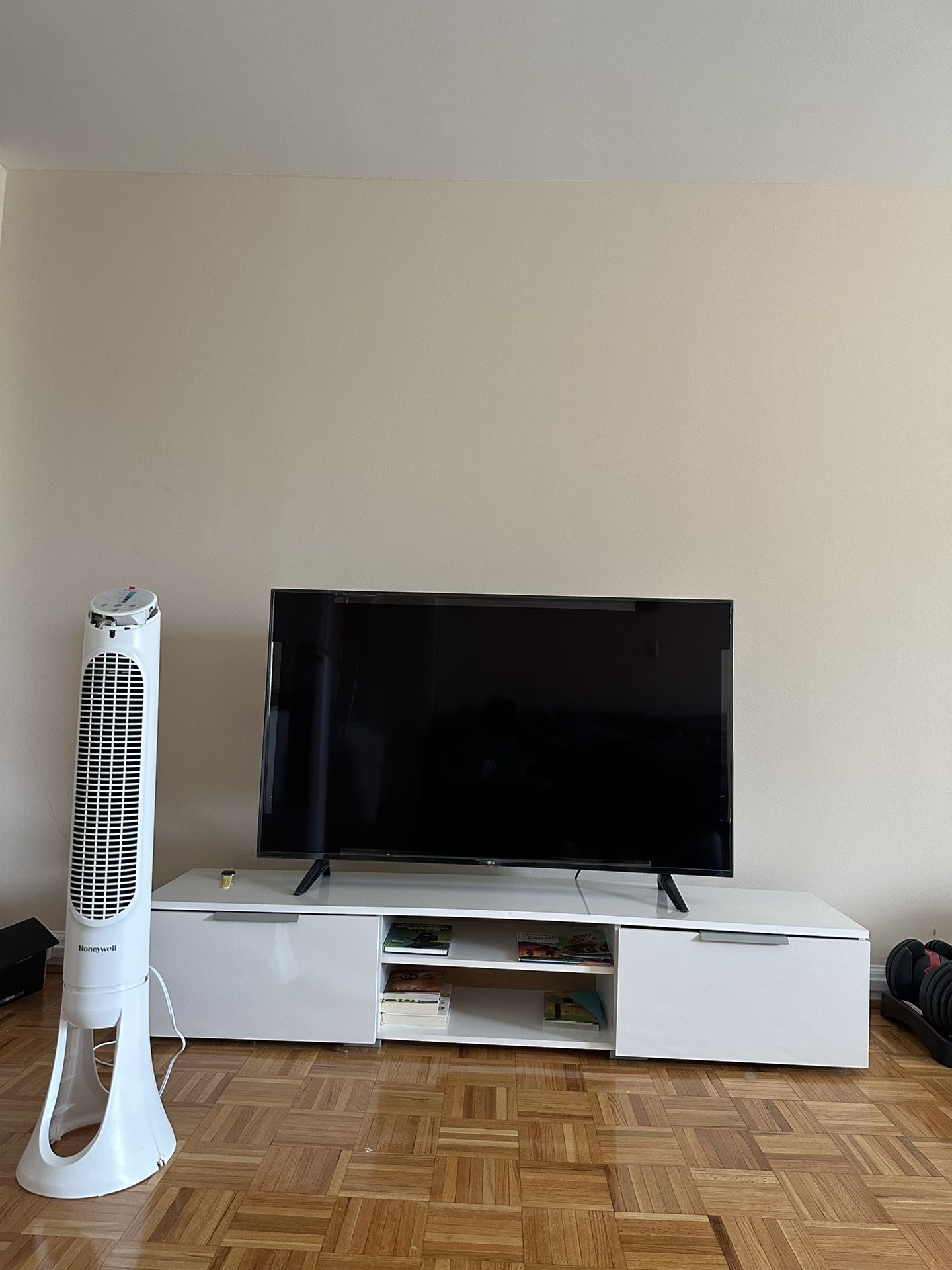 LG TV (55 Inches)