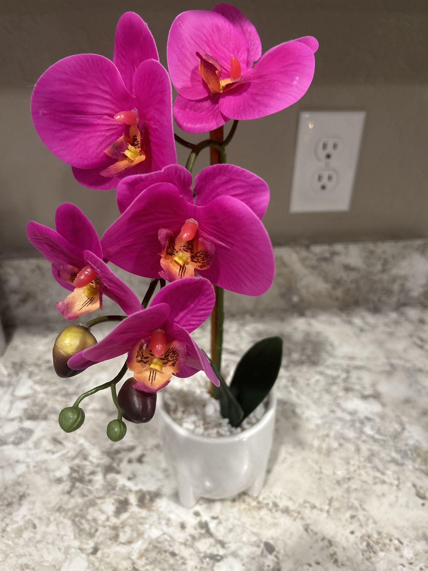 Fake Orchid Desk Plant