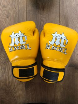 Muay Thai/Boxing gloves