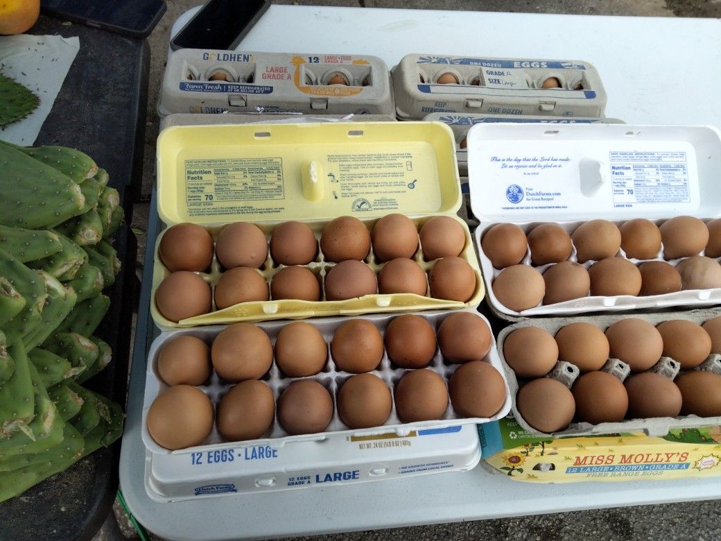 Fresh Farm Eggs