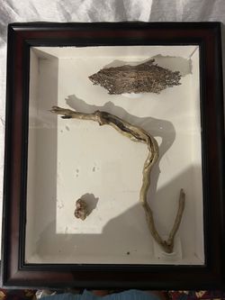Beautiful Framed Lake Whitney treasure