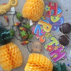 Hawaii Luau Birthday Decor 