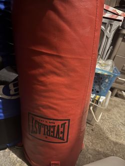 Everlast bag