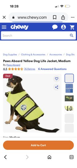 Dog life jacket