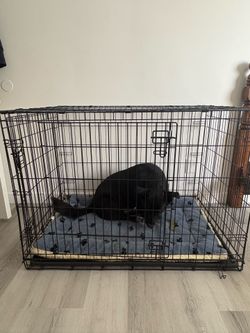 TWO door collapsible dog crate XL