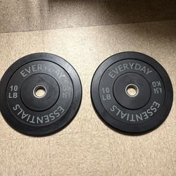 10lb Olympic Bumper Plates x2
