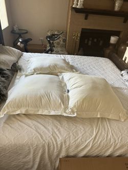 Bed Pillows