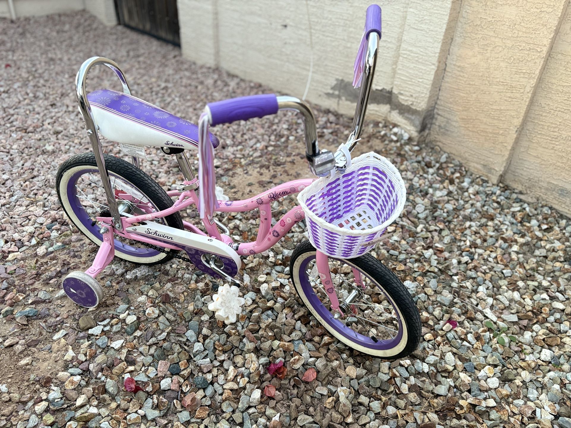 Girls Bike 99h Ave And Lower Buckeye