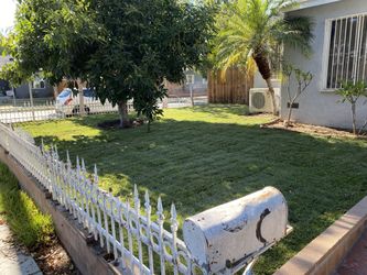 Fresh Sod!!!