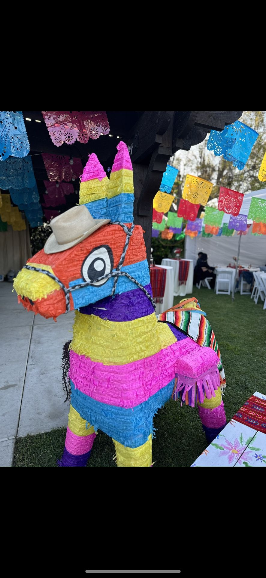 Donkey Piñata 