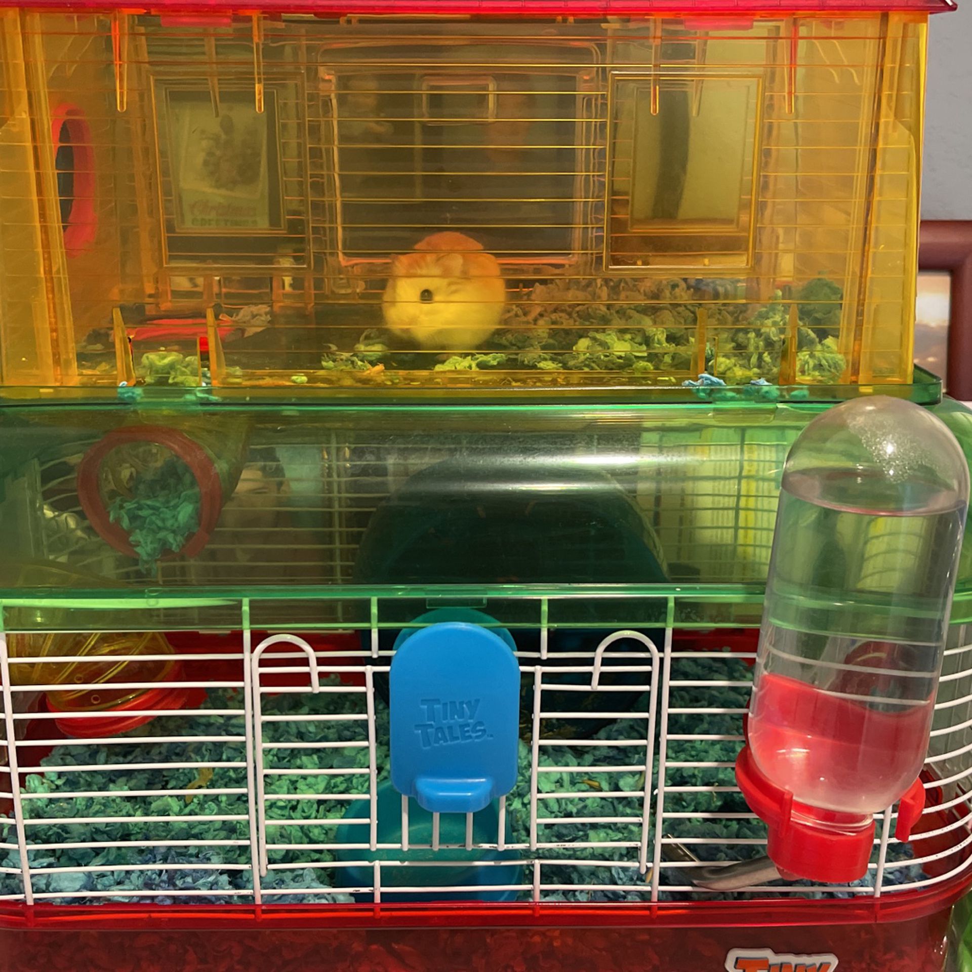 Hamster & Cage 