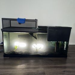 🐢 Full 75-Gallon Turtle Tank Setup – Everything Included – $450 OBO