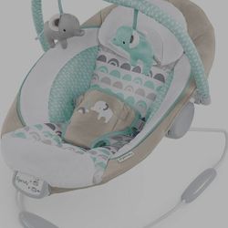 Ingenuity Baby Bouncer