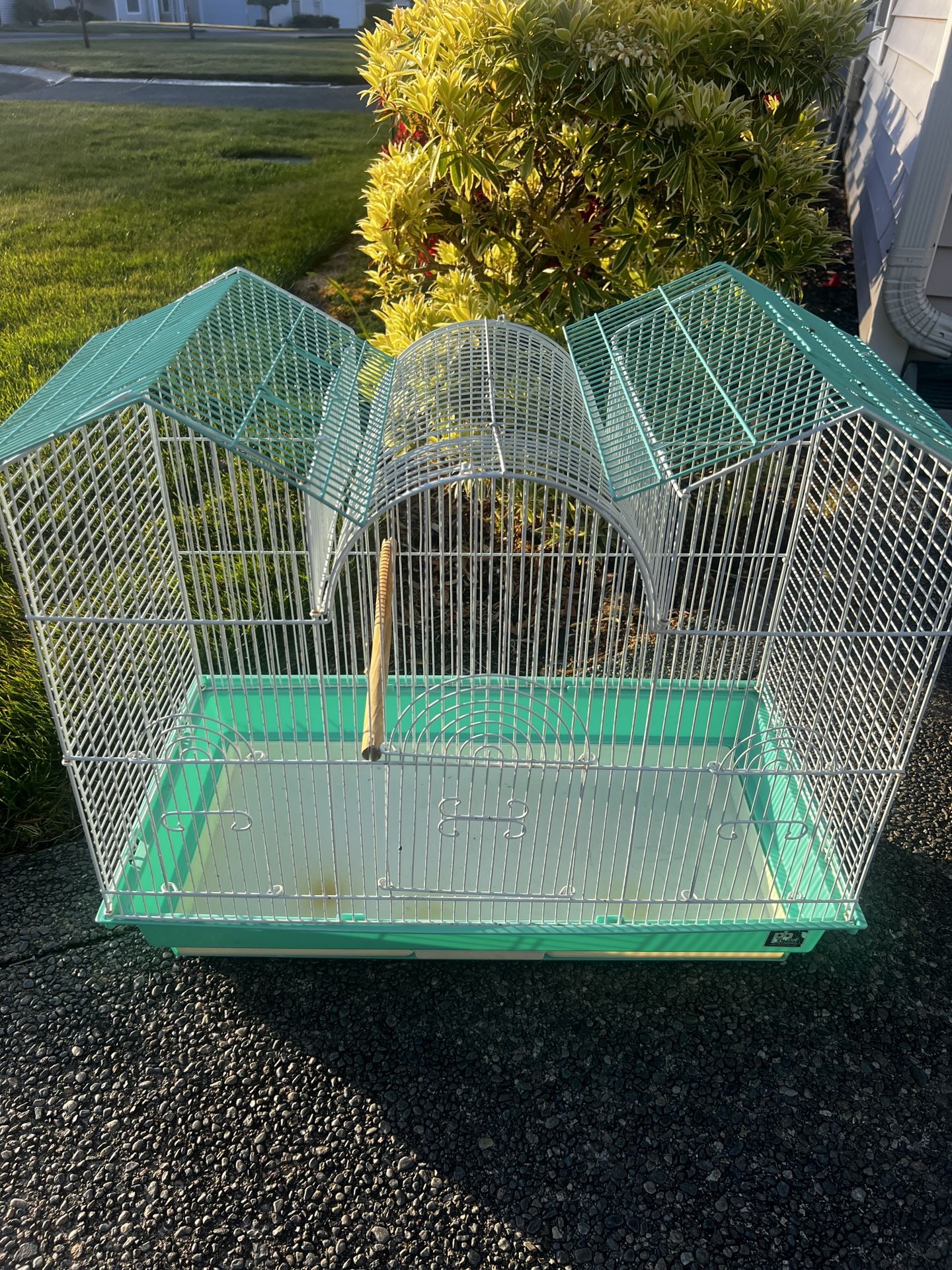Bird Cage
