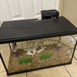 20 Gallon Tank