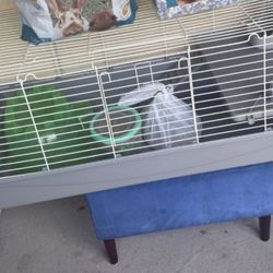 Guinea Pig/rodent Cage