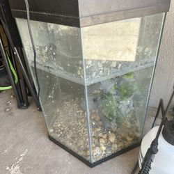 Hexagon Fish Tank 