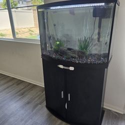 Fish Tank