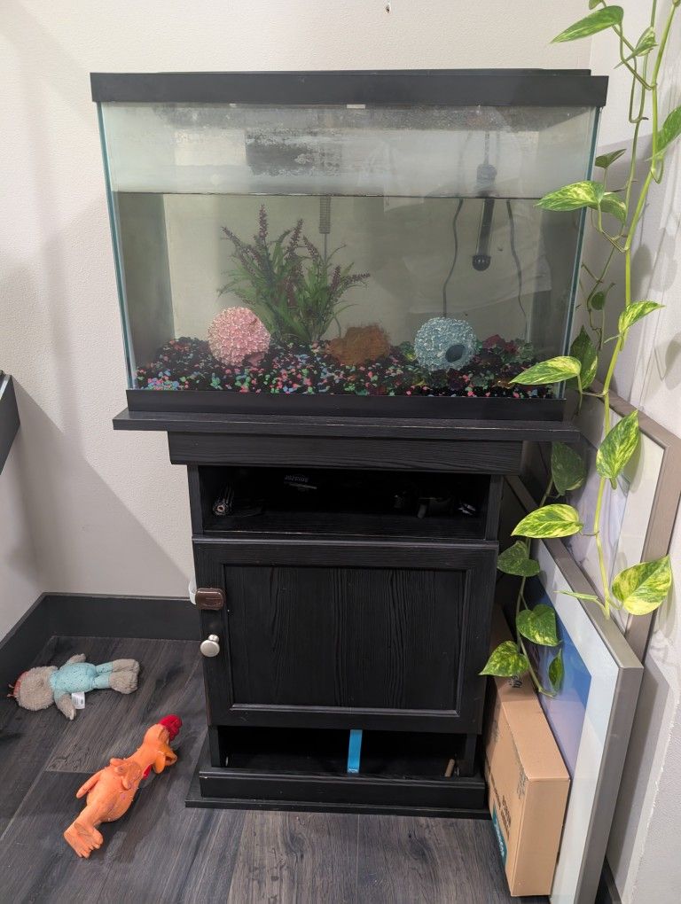 Aquarium With Table