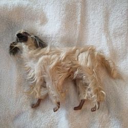 Barbie Afghan Furry Dog See Photos