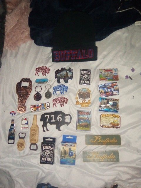 Buffalo Magnets