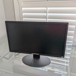 20" Computer Monitor 
