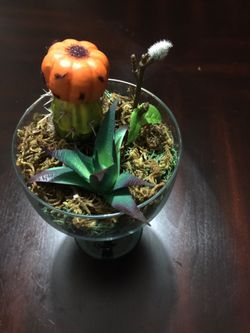 Artificial Succulent/terrarium