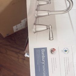 Moen Stainless Faucet $60