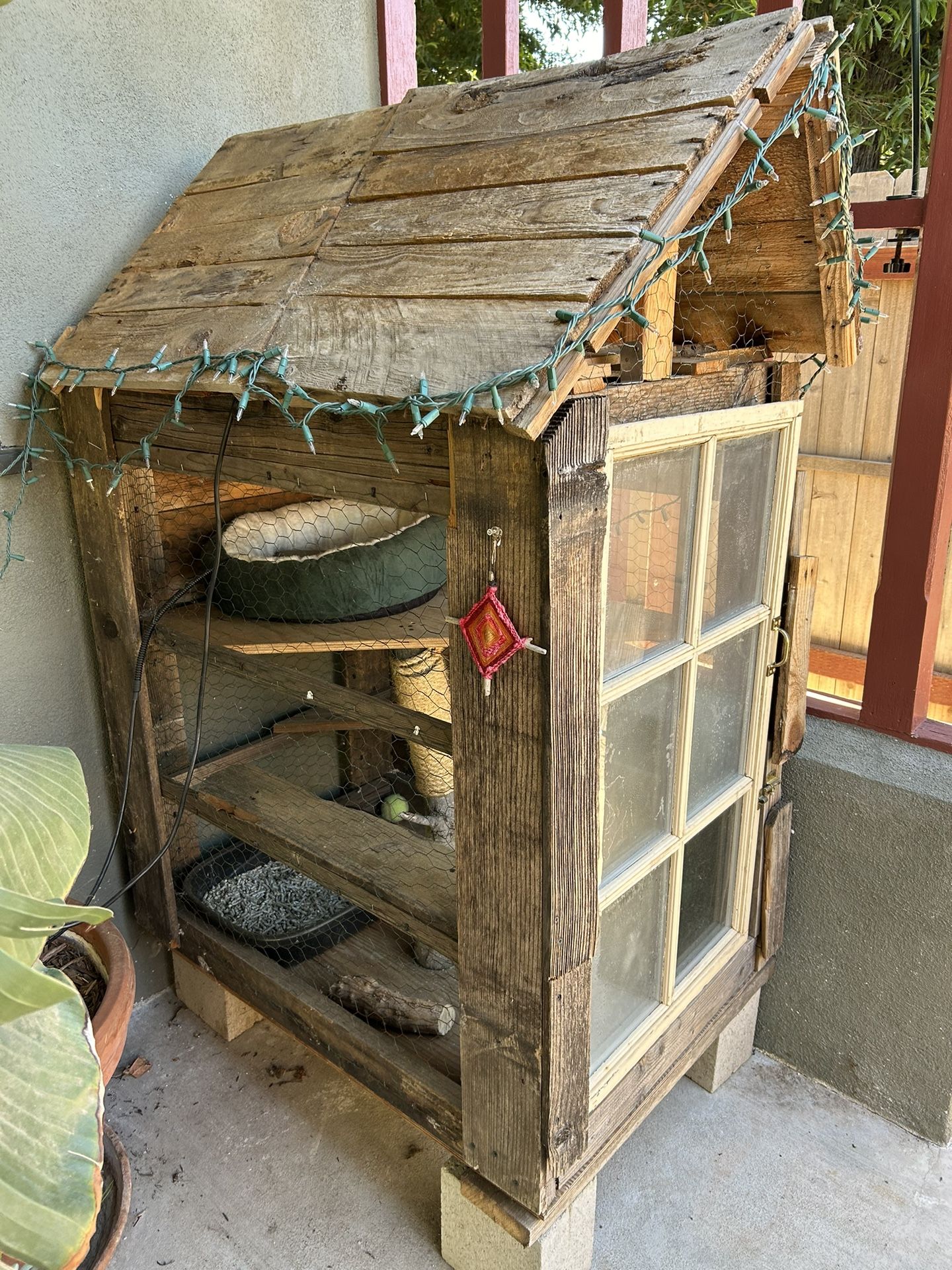 Indoor/outdoor Catio/cathouse