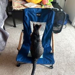 Low Camp Chair (cat Not Included lol) 
